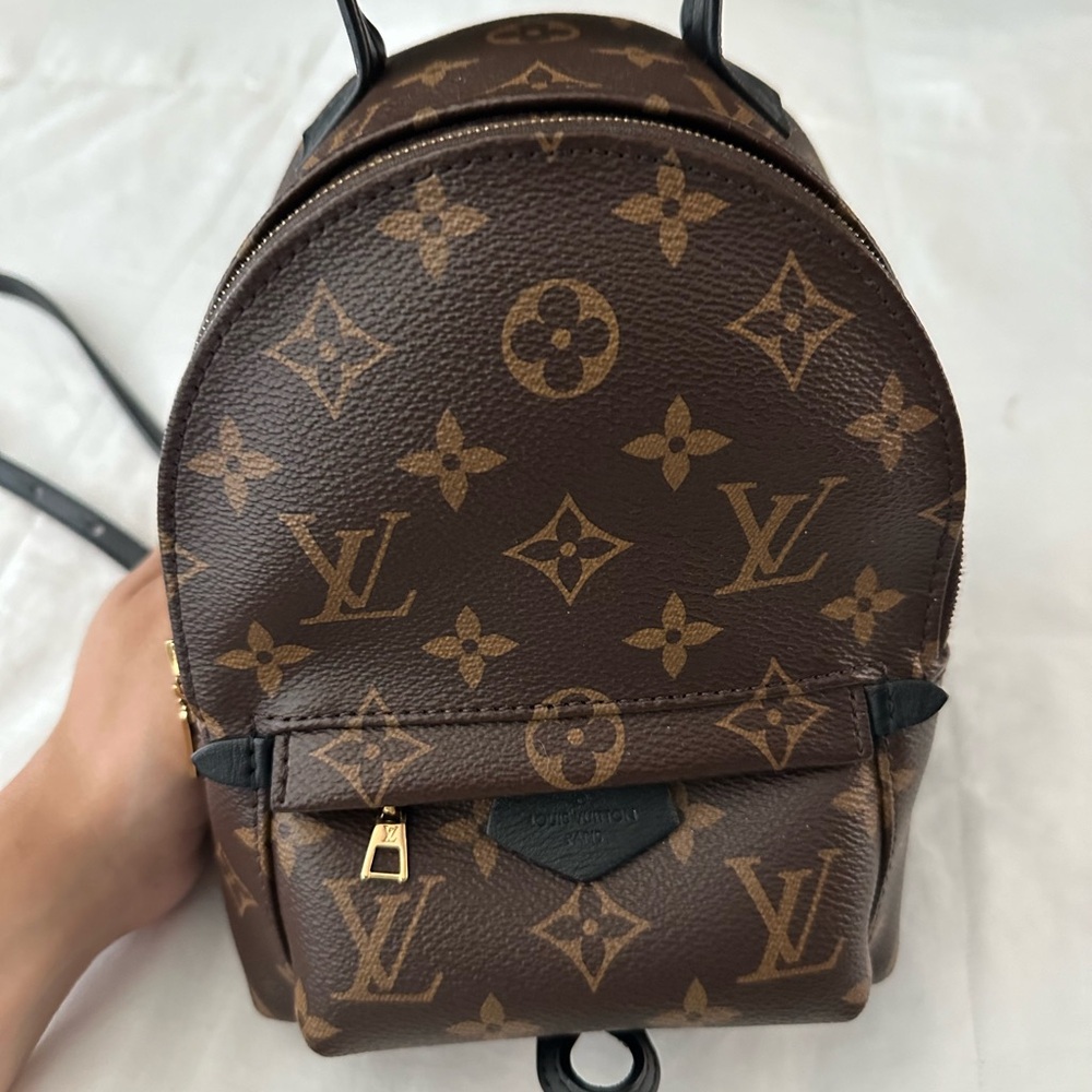 Louis Vuitton Palm Springs Mini backpack